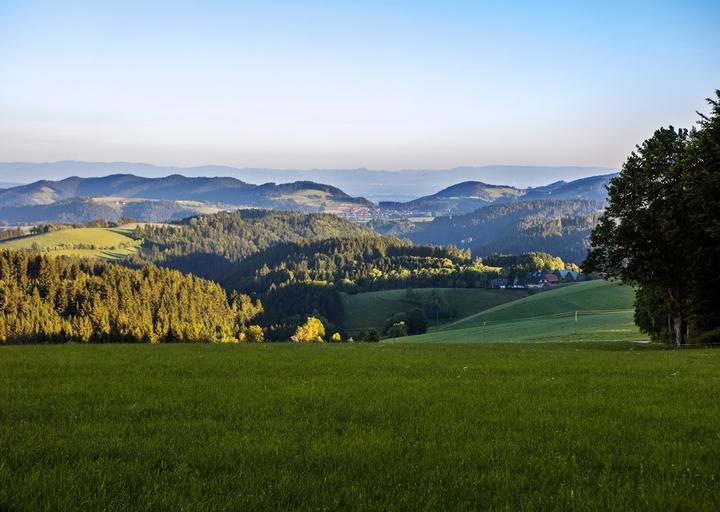 Gasthaus zum Kreuz